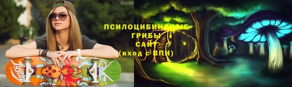 шишки Бронницы