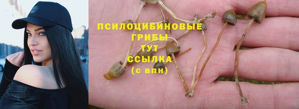 гидропоника Баксан