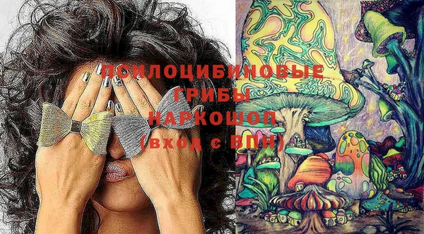 гидропоника Баксан