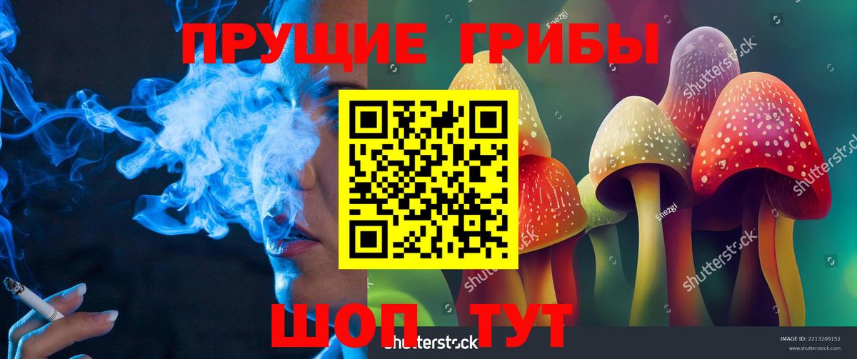 Гай  Псилоцибиновые грибы мицелий  Вход с VPN  Галлюциногенные грибы GOLDEN TEACHER 