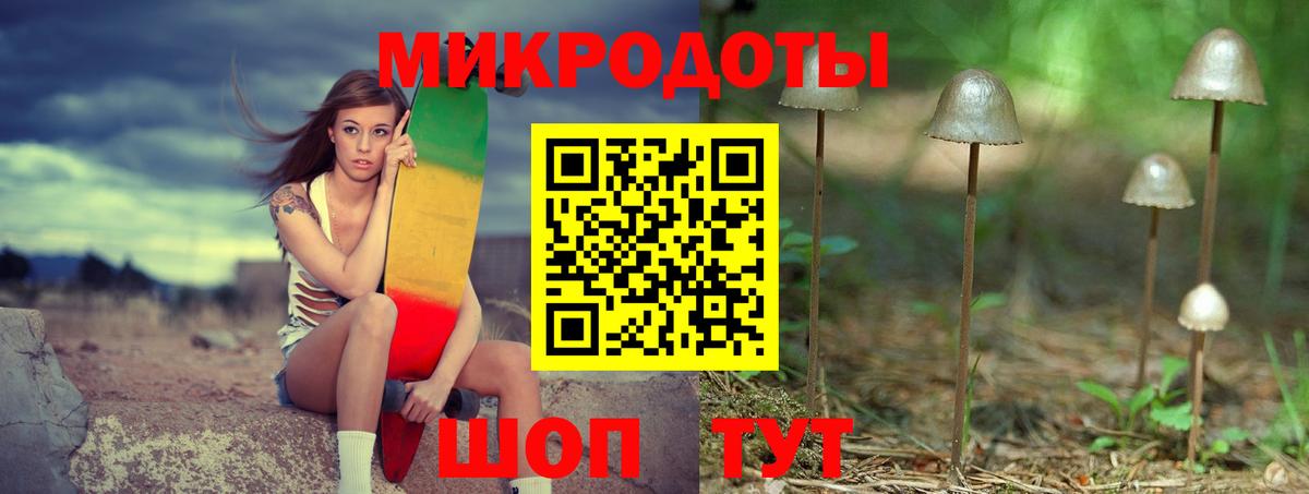 Псилоцибиновые грибы Psilocybe  Гай 