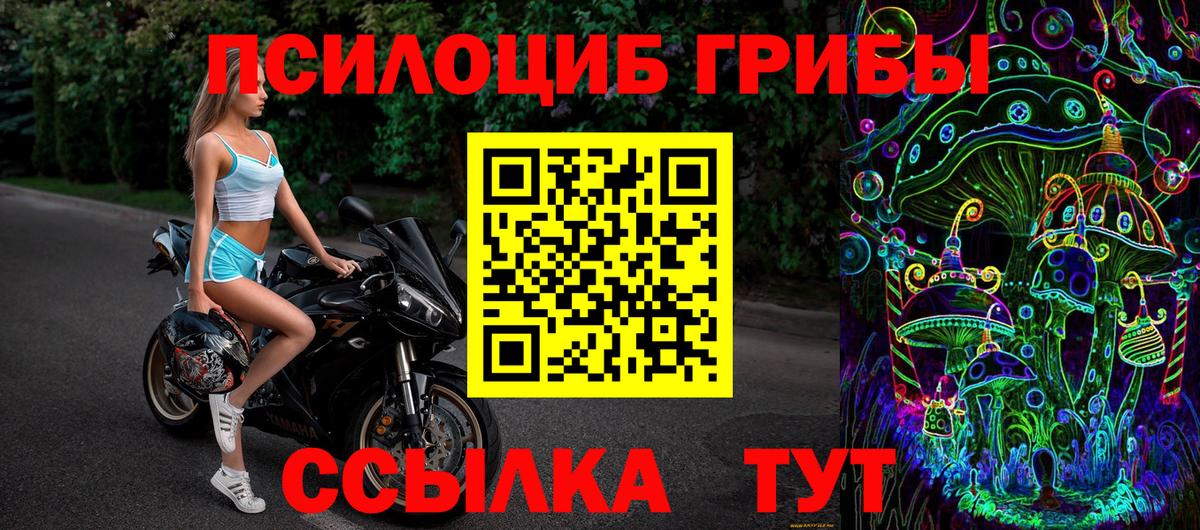 Псилоцибиновые грибы Psilocybine cubensis Гай