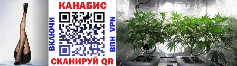 Шишки марихуана OG Kush  Гай 
